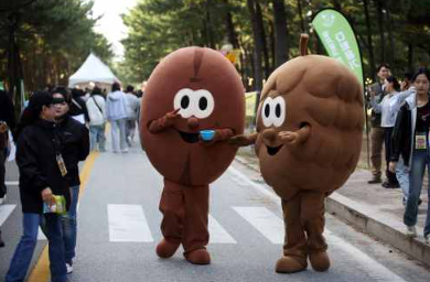 2025년 11월 가을 축제 청송사과축제 서산국화축제