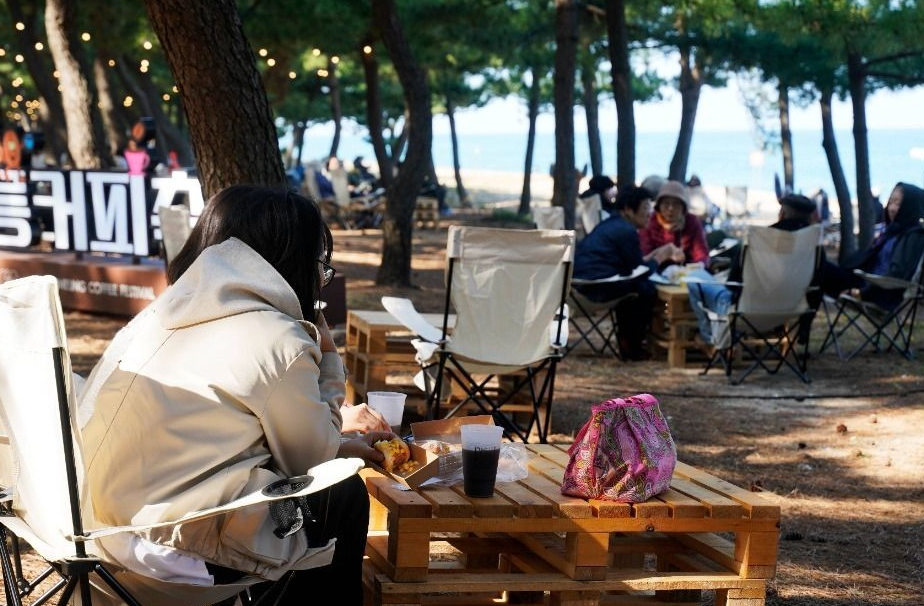 2025년 11월 가을 축제 청송사과축제 서산국화축제