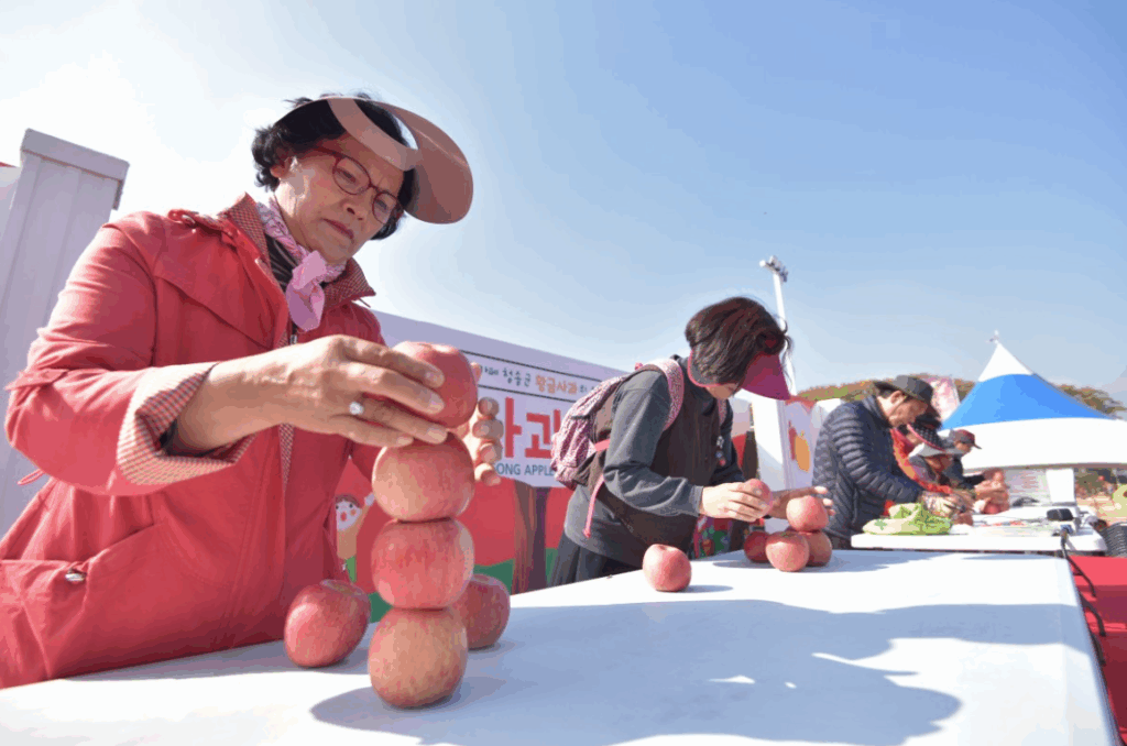 2025년 11월 가을 축제 청송사과축제 서산국화축제