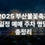 2025 부산불꽃축제 일정 예매 주차 명당