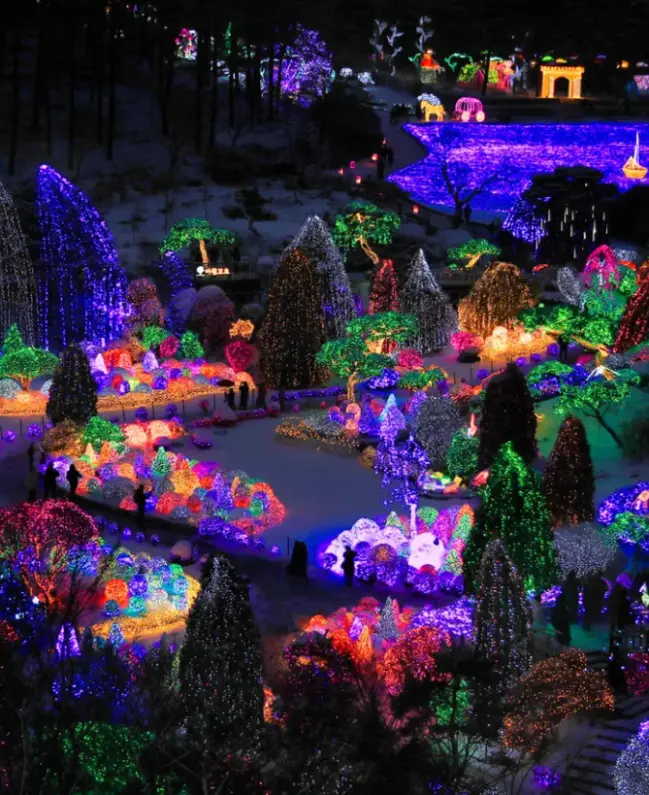 2025년 12월 겨울축제 평창송어축제 오색별빛정원전 칠갑산얼음분수축제 일정 장소 입장료 운영시간 주차정보 추천