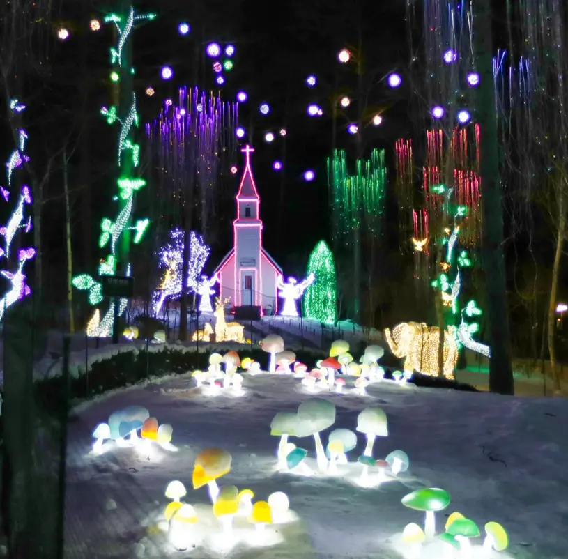 2025년 12월 겨울축제 평창송어축제 오색별빛정원전 칠갑산얼음분수축제 일정 장소 입장료 운영시간 주차정보 추천