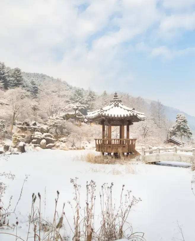 2025년 12월 겨울축제 평창송어축제 오색별빛정원전 칠갑산얼음분수축제 일정 장소 입장료 운영시간 주차정보 추천