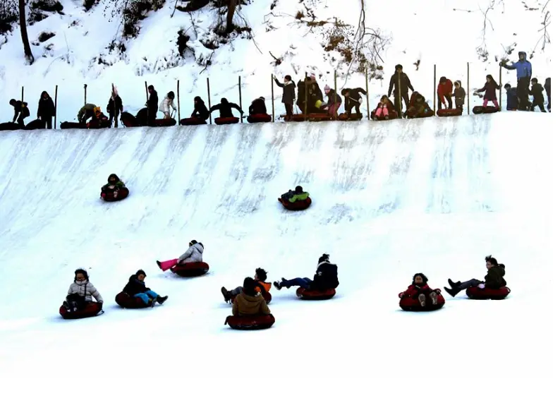 2025년 12월 겨울축제 평창송어축제 오색별빛정원전 칠갑산얼음분수축제 일정 장소 입장료 운영시간 주차정보 추천