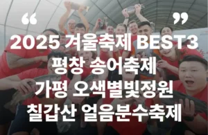 2025년 12월 겨울축제 평창송어축제 오색별빛정원전 칠갑산얼음분수축제 일정 장소 입장료 운영시간 주차정보 추천