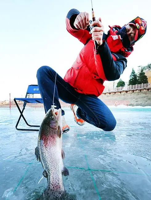 2025년 12월 겨울축제 평창송어축제 오색별빛정원전 칠갑산얼음분수축제 일정 장소 입장료 운영시간 주차정보 추천